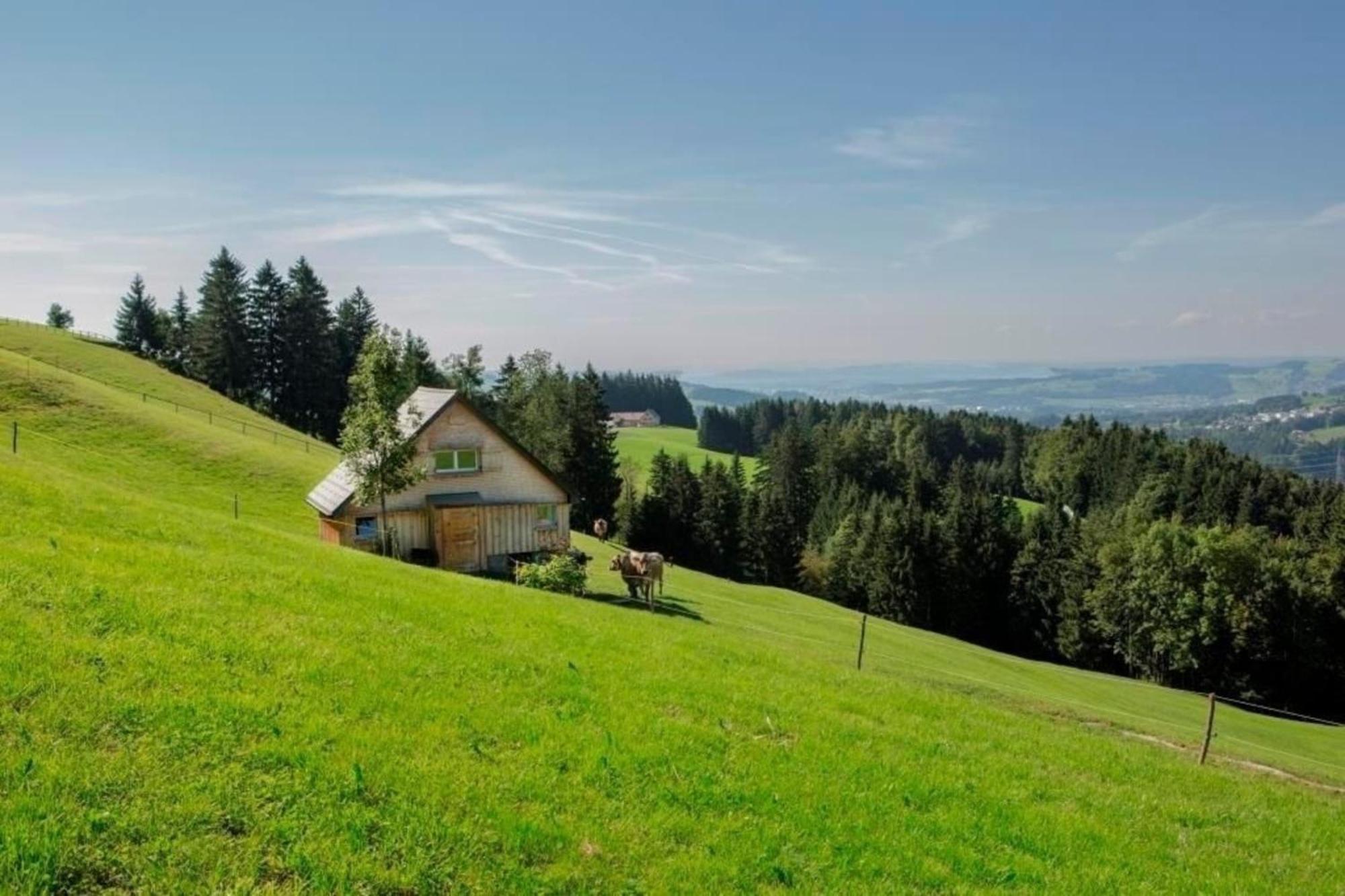 Bauernhof Fendrig - Neue Wohnung Haslen Экстерьер фото